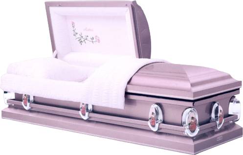 Mother’s Rose Orchid