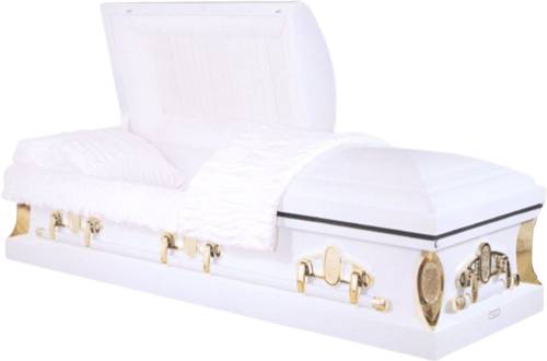 New Horizon All White